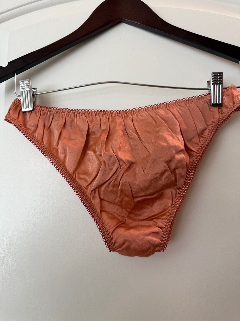 NWT Doen Silk Panties Small S Lola Brief - Picture 3 of 3